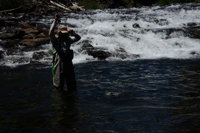 DSC_9928 (Large).JPG